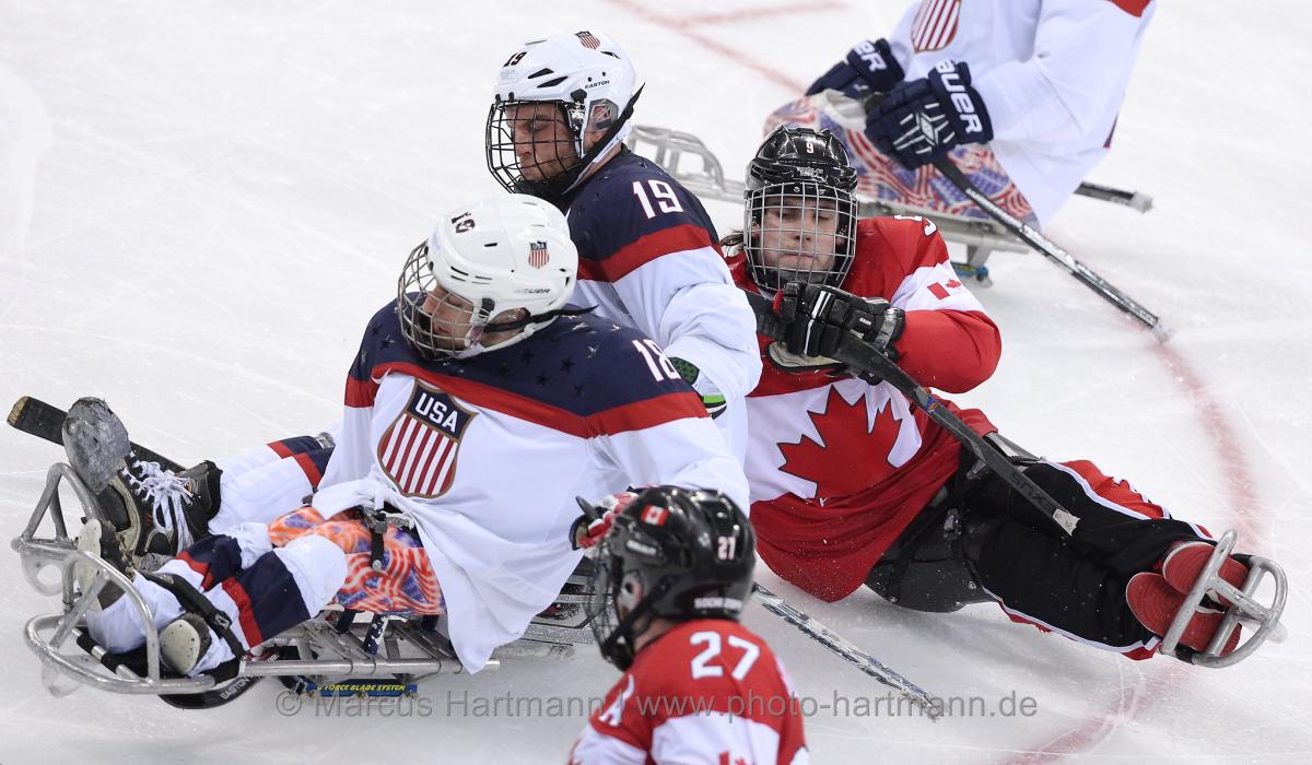 two players in sledges fight for the puck