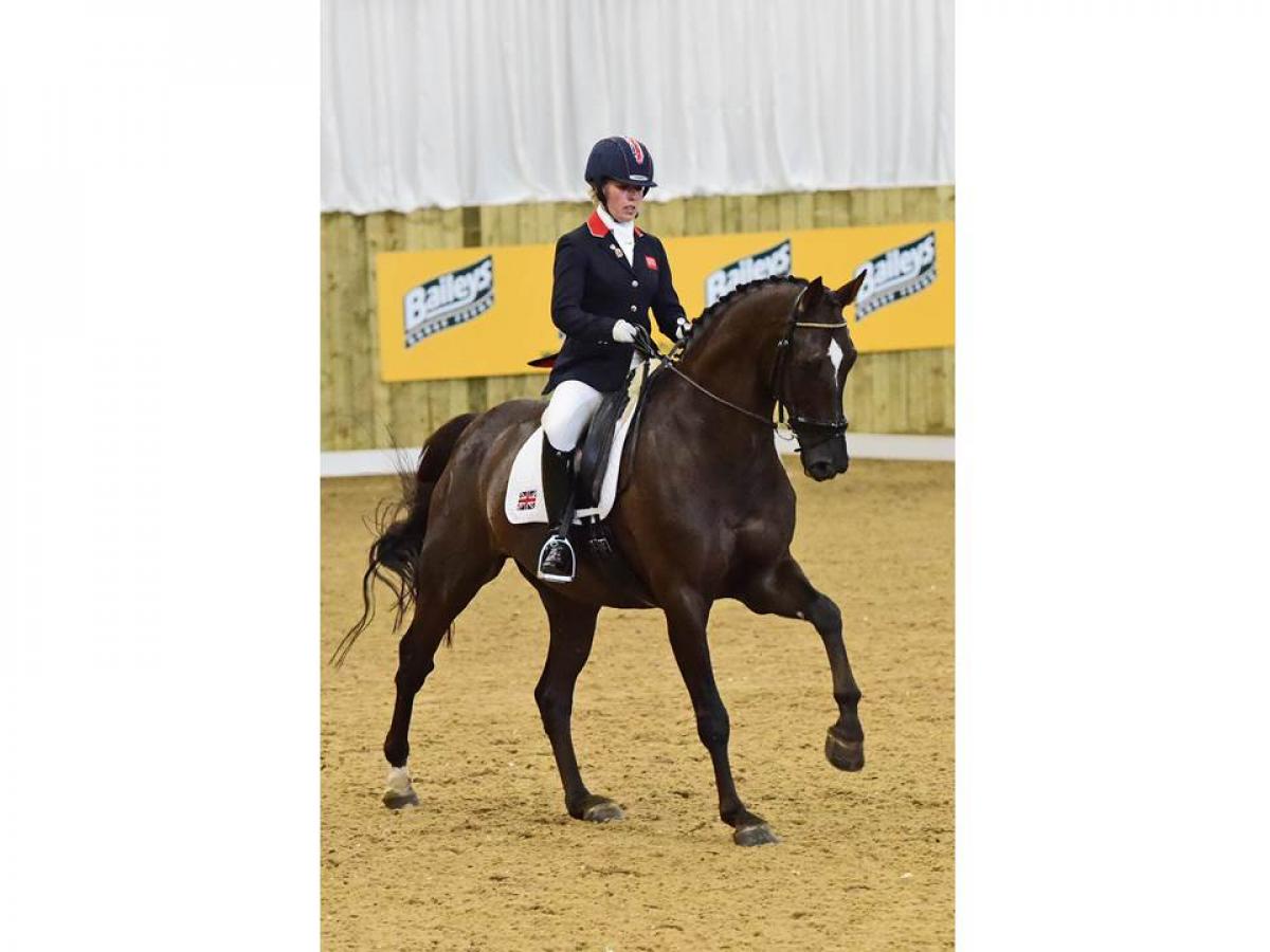 Women on a dark horse doing dressage lessons