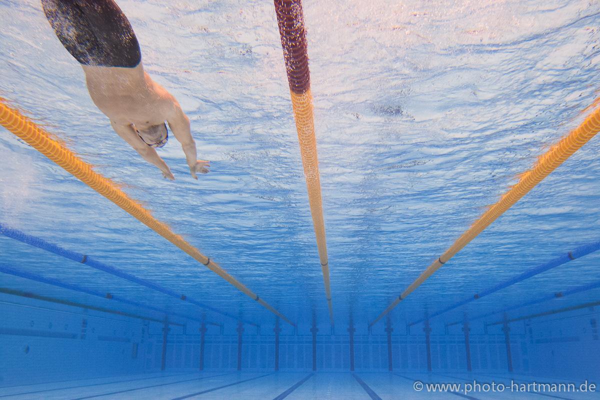 A swimmer begins a race at London 2012