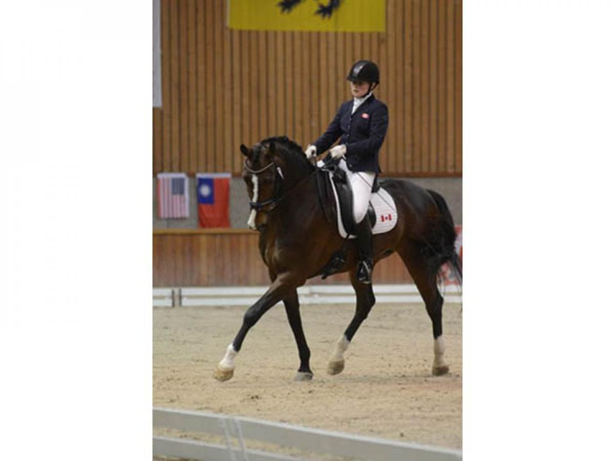 Roberta Sheffield Canada para-equestrian Roberta Sheffield Canada para-equestrian