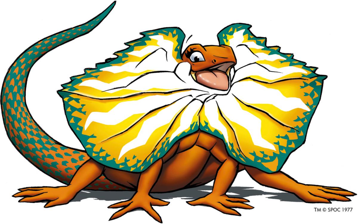 A Lizard