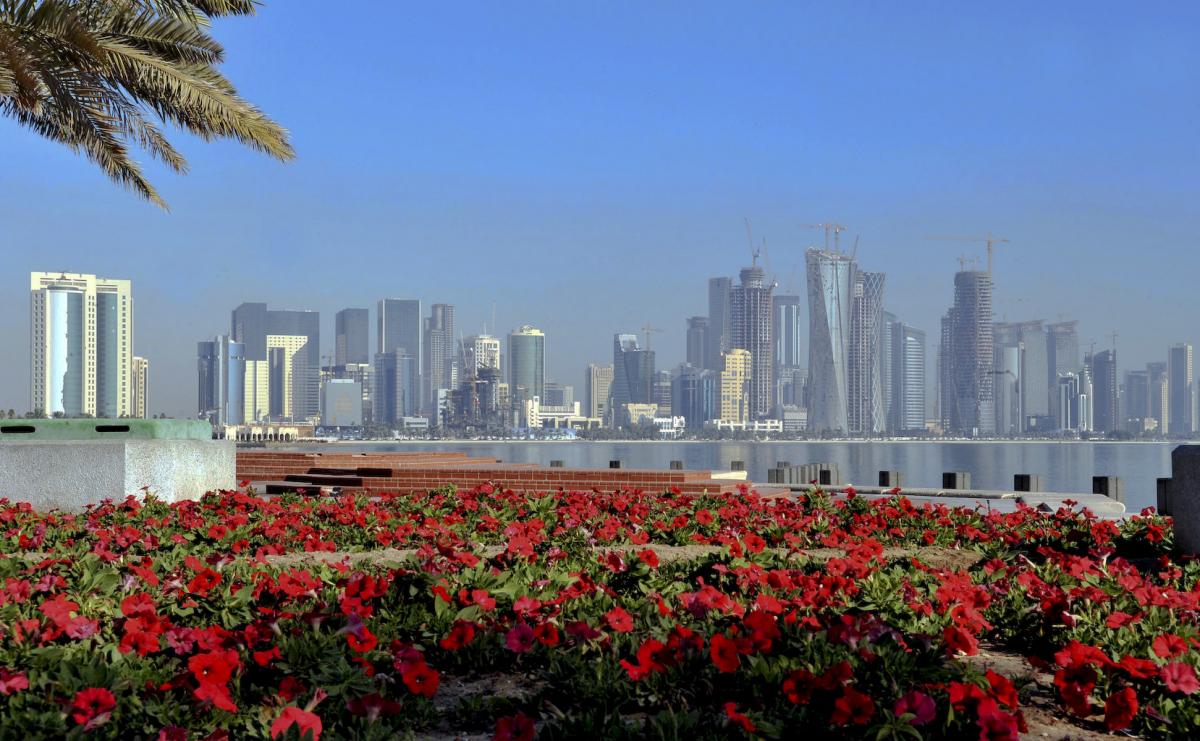 A skyline with many skyscrapers in the background. Red flowers and water in the front.