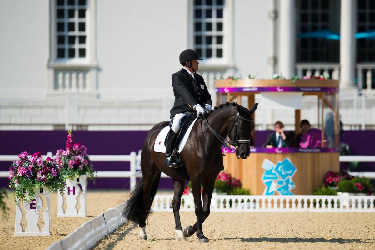 Man on horse riding in a stadium