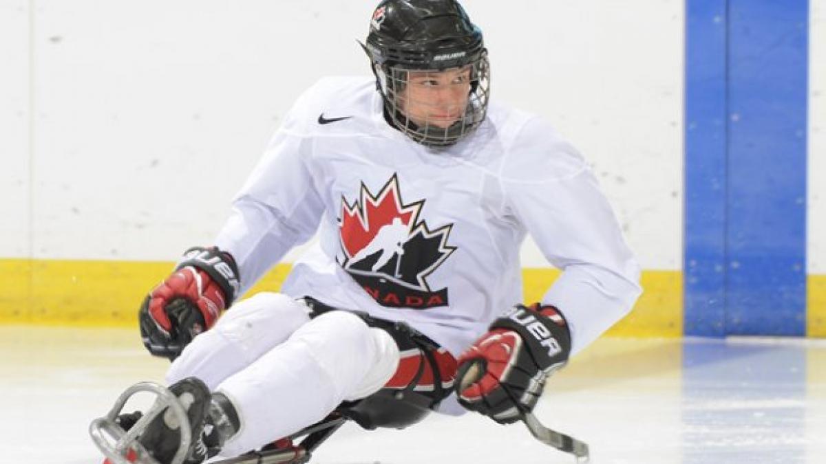 Man in a sledge, playing hockey on the ice