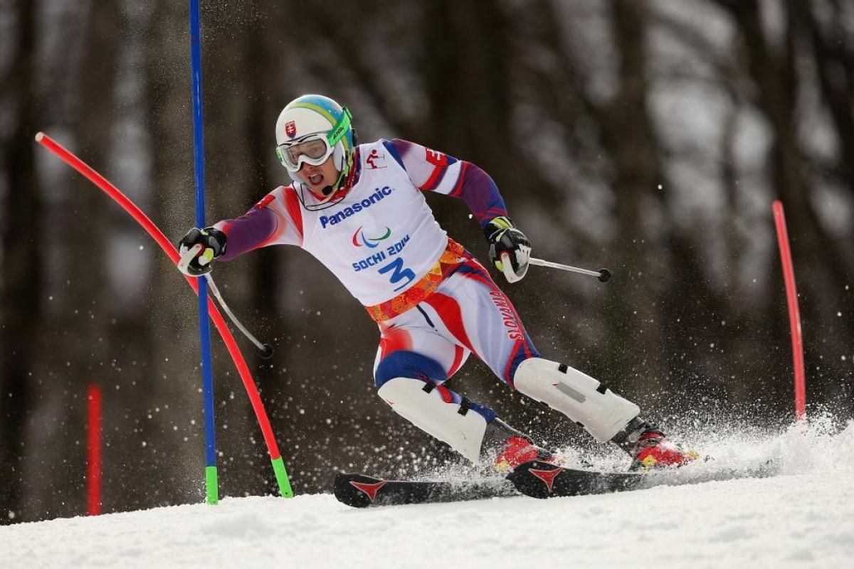 Miroslav Haraus - Ones to watch 2015/16 - Alpine skiing Miroslav Haraus
