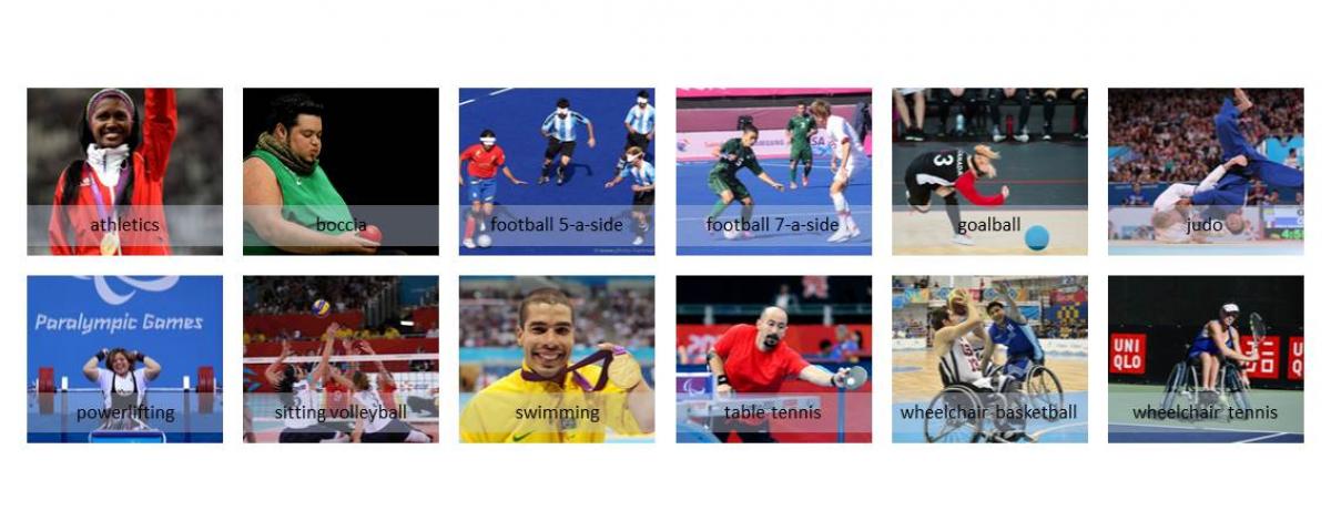 2017 Youth Parapan American Games Sports programme confirmed for 2017 Youth Parapan American Games