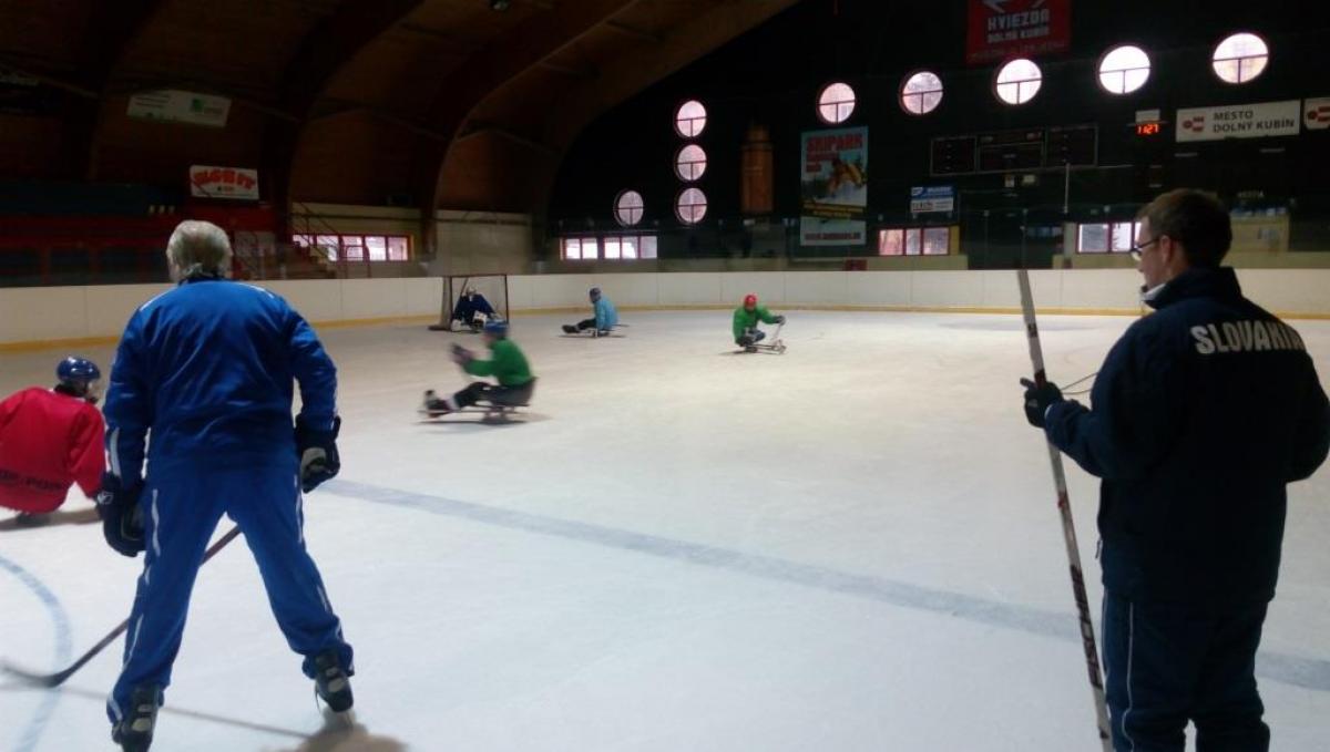 A group of aspiring players and their coaches gathered at Dolny Kubin’s hockey stadium for four days of on and off-ice activities with world famous Canadian coach George Kingston.