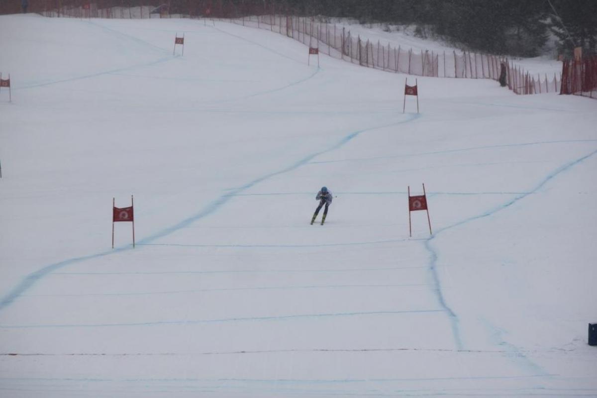 alpine skiing