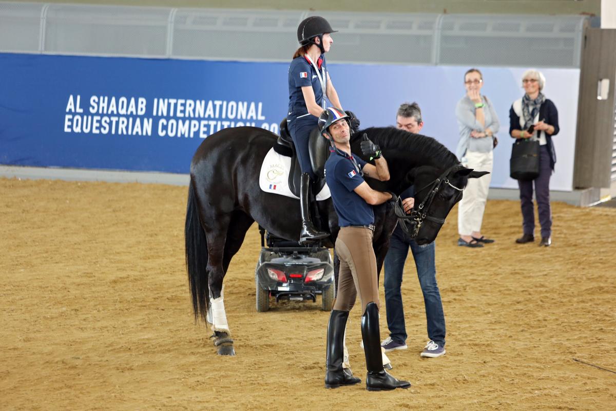 A rider on a black horse