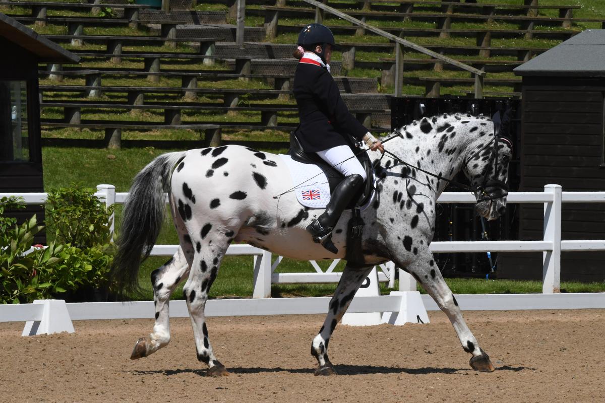 Anne Dunham - Great Britain - equestrian Woman riding on a black and white horse