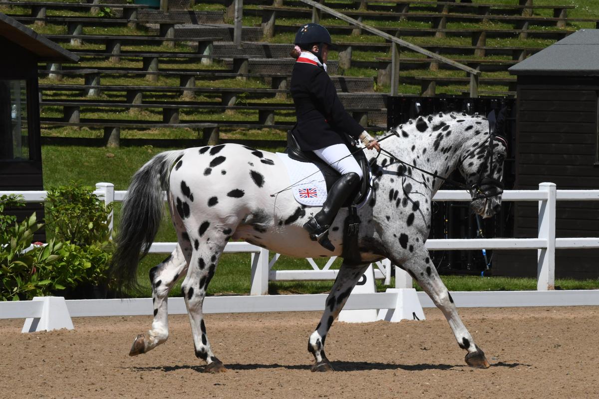 Woman riding on a black and white horse