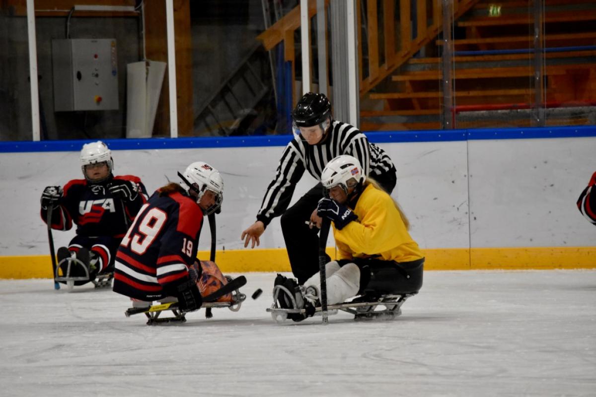 Women’s ice sledge hockey players impress Two female sledge hockey players on the ice, fighting for the puk from the referee