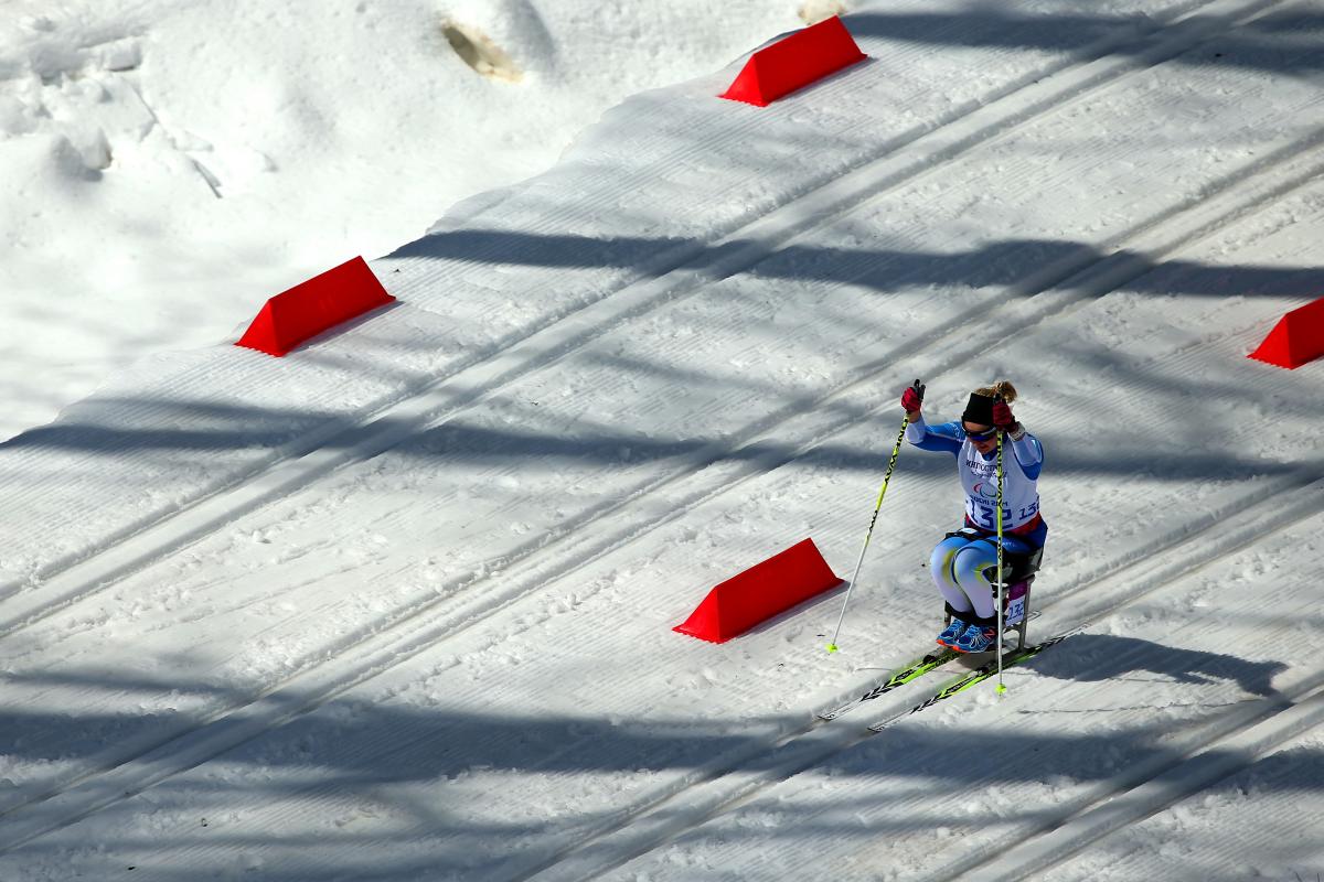 A female sit-skier takes to the trails