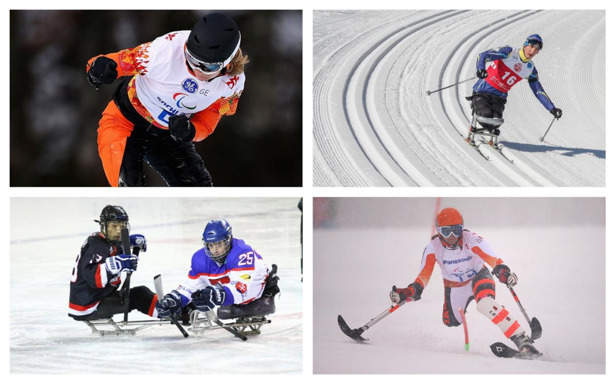 Winter sports collage four winter para athletes compete
