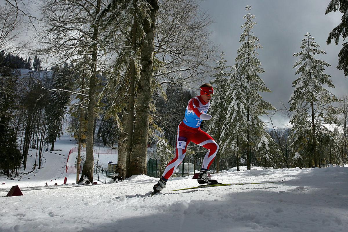 a Para skier moving through the trees