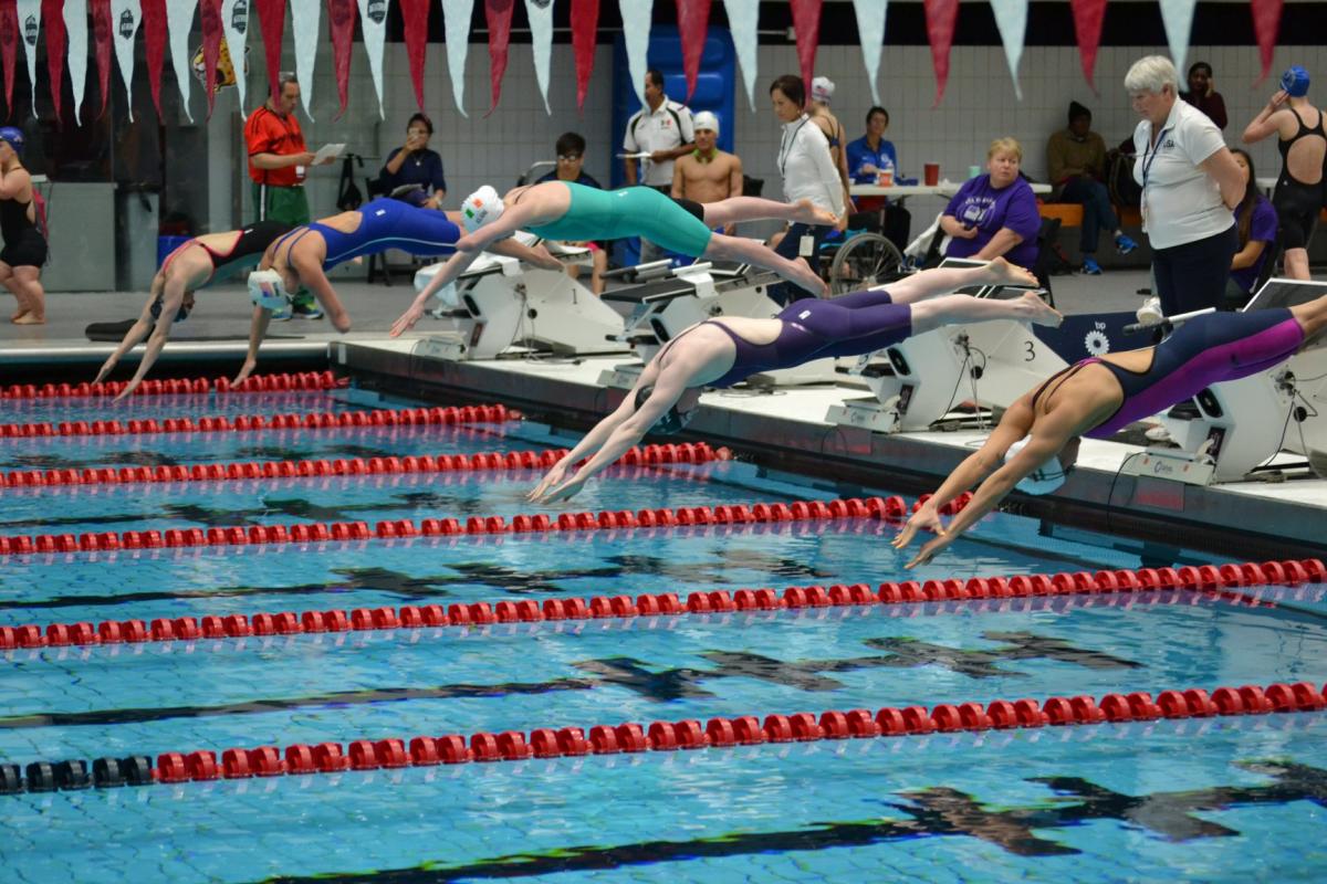 A group of female swimmers dive into a pool