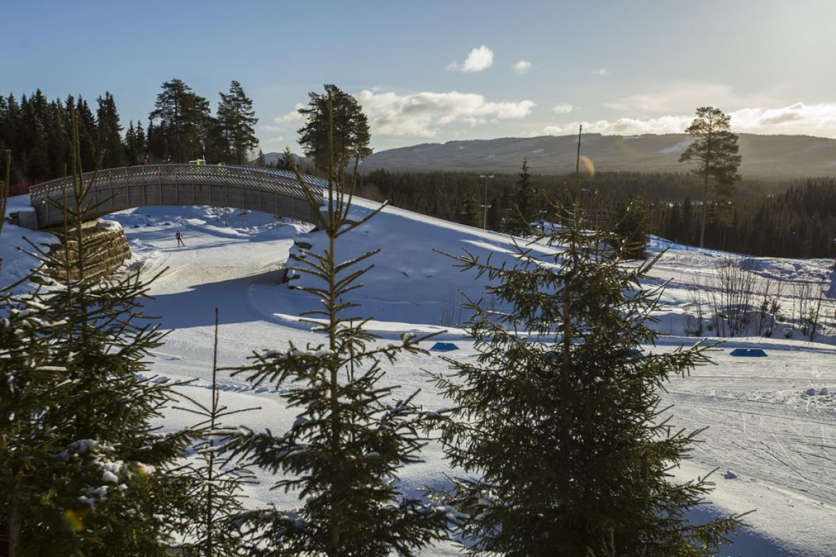 A cross-country skiing course full of snow