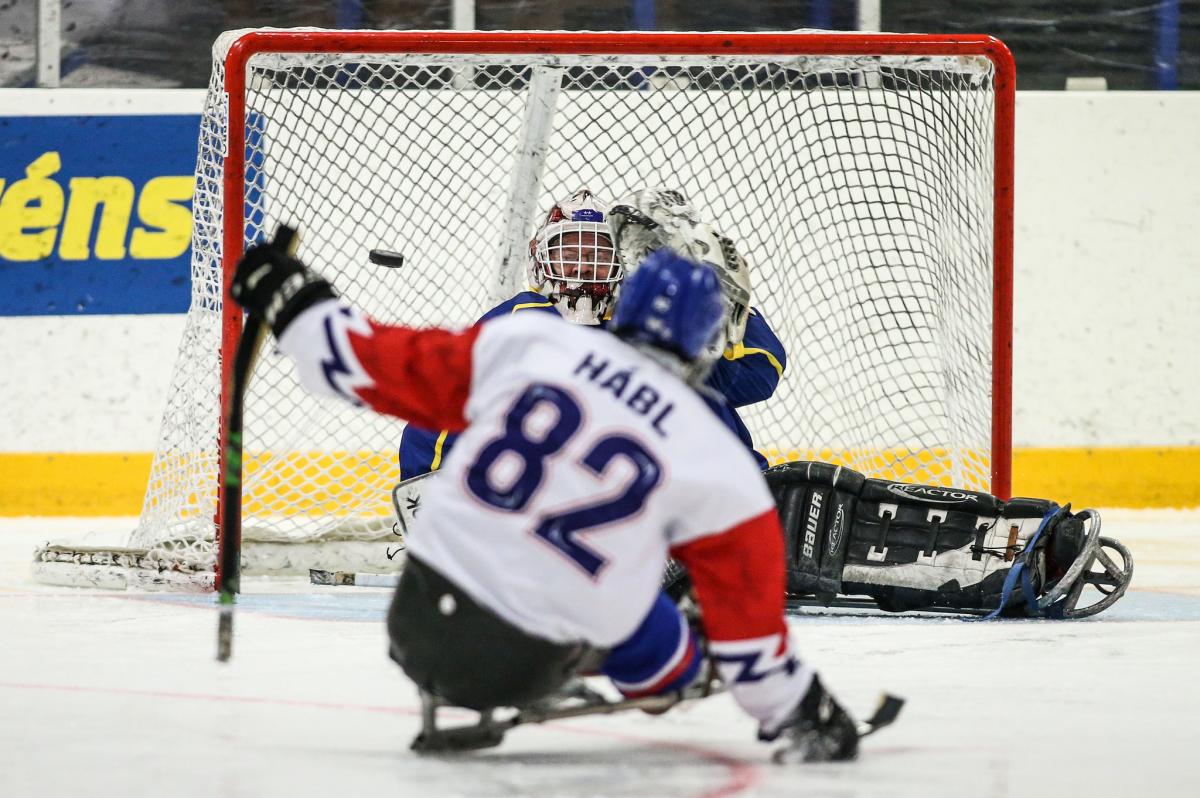 A Para ice hockey in front of the goal 