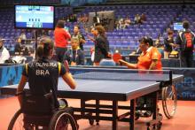 Table Tennis at the Parapans 2011