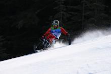 A picture of a woman in a wheelchair skiing