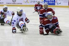 Czech Republic ice sledge hockey