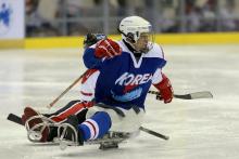 Korea ice sledge hockey