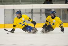 Sweden's ice sledge hockey team