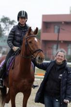 A horse trainer is pictured walking alongside a rider on his horse.