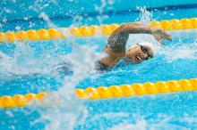 Women swimming a freestyle race