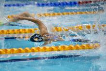 Female swimmer doing freestyle