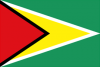 Flag of Guyana 