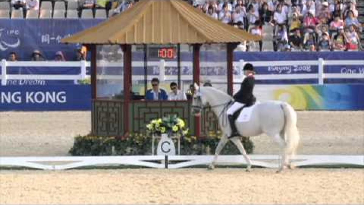 Para-Equestrian at the London 2012 Paralympic Games