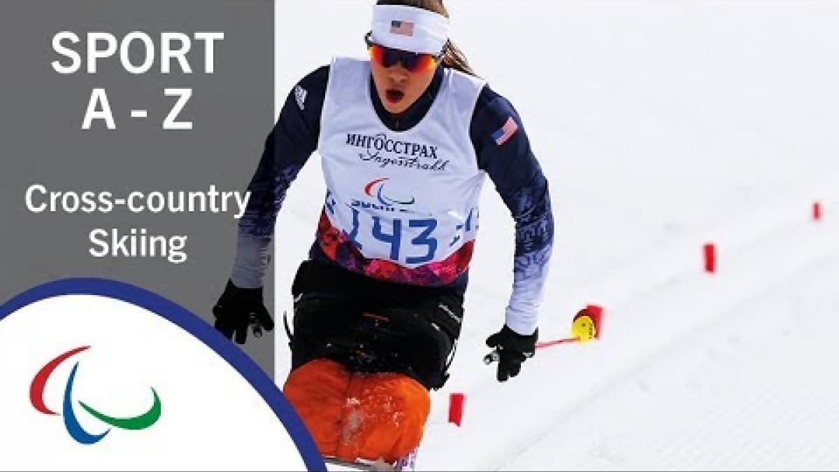 Sports of the Paralympic Winter Games: Cross-Country Skiing