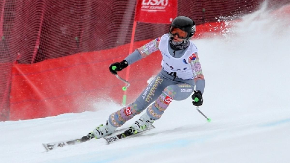 Women's VI | Giant slalom 2nd run | 2017 World Para Alpine Skiing Championships, Tarvisio