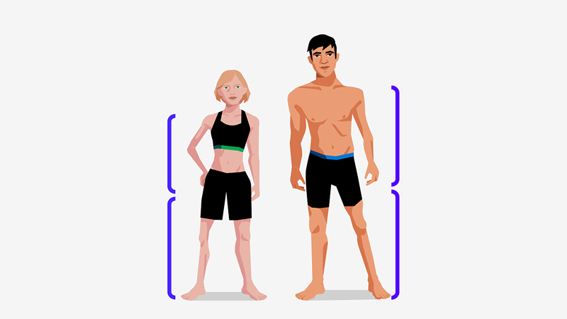 IPC Classification