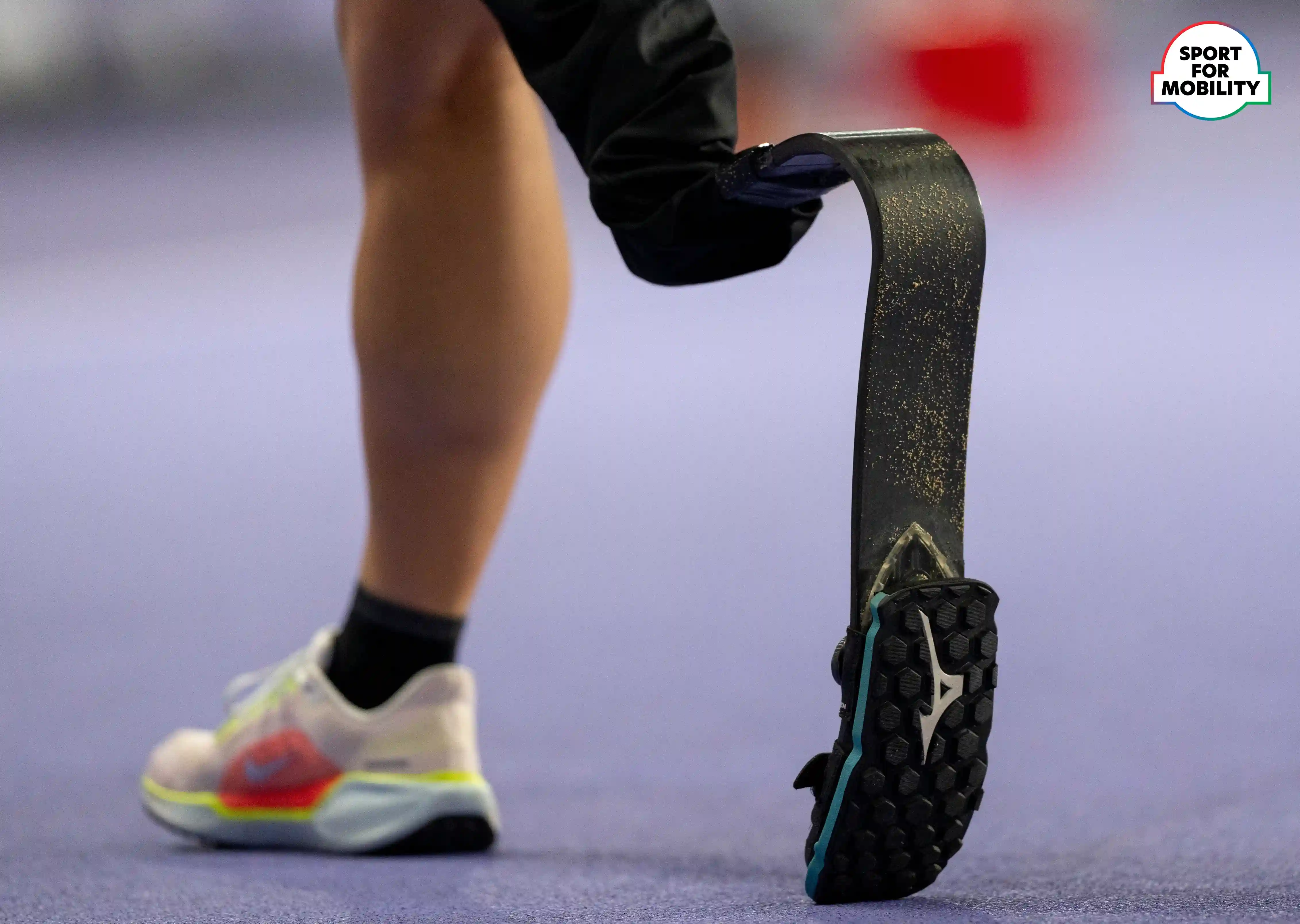 para sport equipment