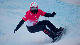 Para snowboard